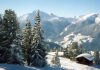 Click to read the travelreport